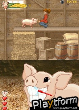 Charlotte's Web (DS)