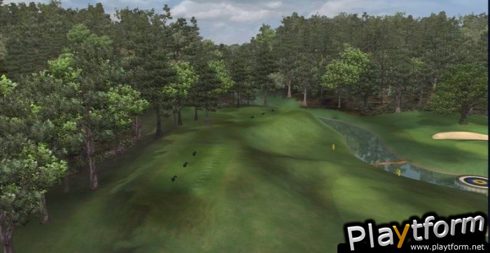 Tiger Woods PGA Tour 07 (PlayStation 3)