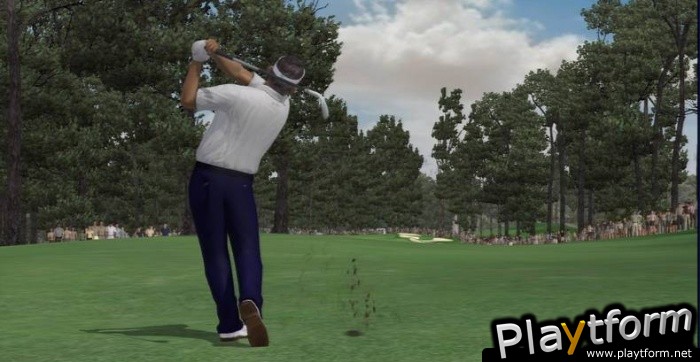 Tiger Woods PGA Tour 07 (PlayStation 3)