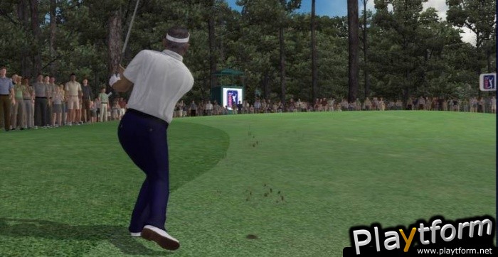 Tiger Woods PGA Tour 07 (PlayStation 3)