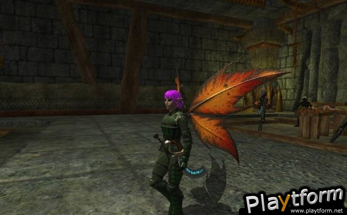 EverQuest II: Echoes of Faydwer (PC)