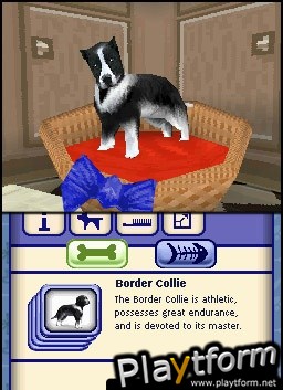 The Sims 2: Pets (DS)