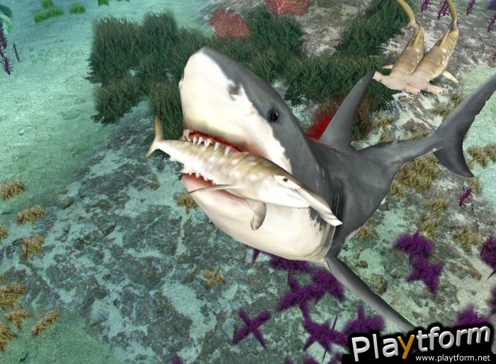 Jaws Unleashed (PC)