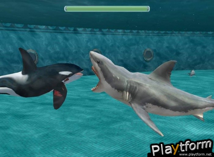 Jaws Unleashed (PC)