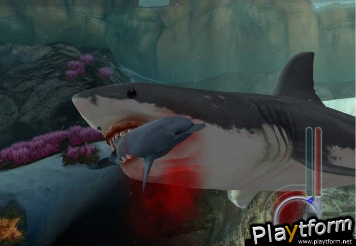 Jaws Unleashed (PC)