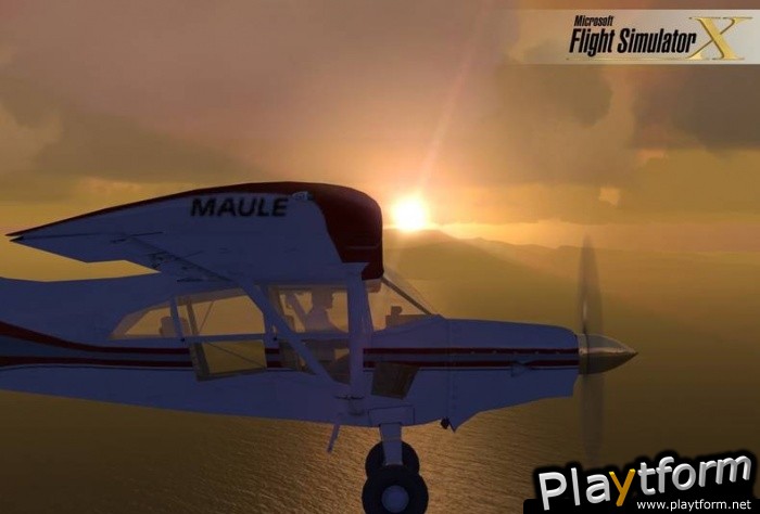 Microsoft Flight Simulator X (PC)