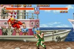 Street Fighter II: The World Warrior (Wii)