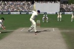 Cricket 07 (PC)