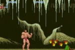 Altered Beast (Genesis) (Wii)