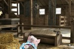 Charlotte's Web (PC)