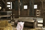 Charlotte's Web (PC)