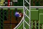 Sonic the Hedgehog Genesis (Game Boy Advance)