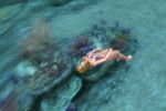 Dead or Alive Xtreme 2 (Xbox 360)