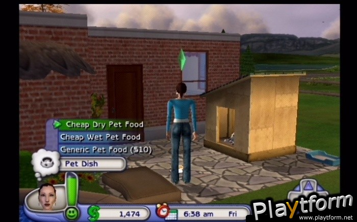 The Sims 2: Pets (PlayStation 2)