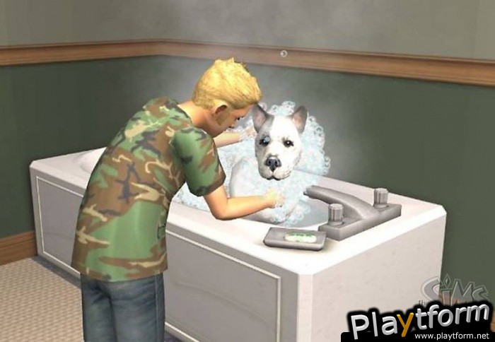 The Sims 2: Pets (PlayStation 2)