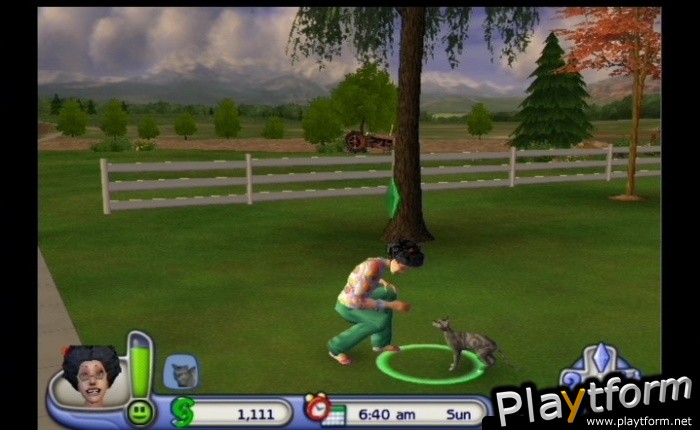 The Sims 2: Pets (GameCube)