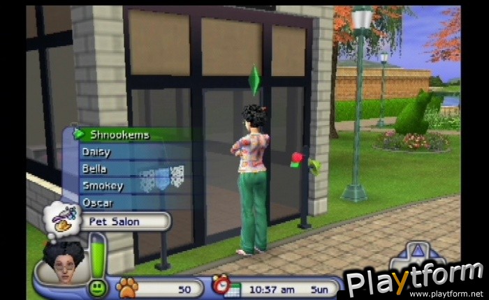 The Sims 2: Pets (GameCube)