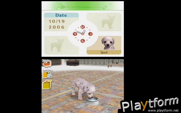 Nintendogs: Dalmatian and Friends (DS)