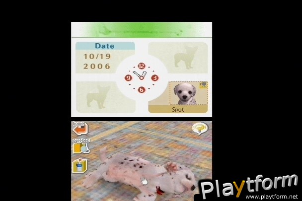 Nintendogs: Dalmatian and Friends (DS)