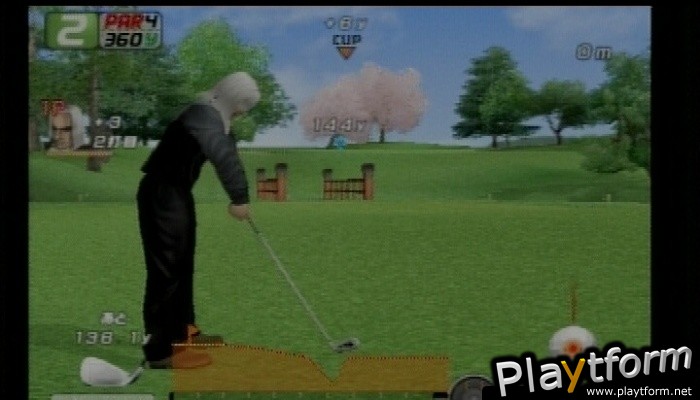 Eagle Eye Golf (PlayStation 2)