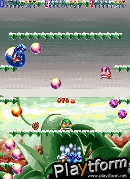 Bubble Bobble Revolution (DS)