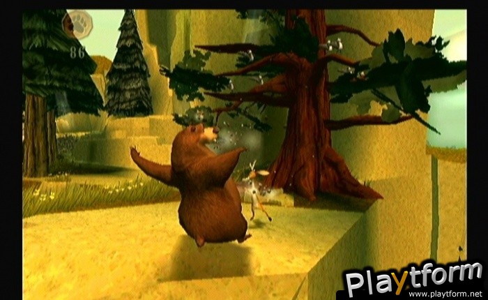 Open Season (GameCube)