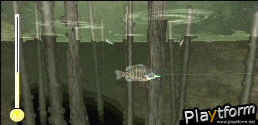 Reel Fishing: Life & Nature (DS)