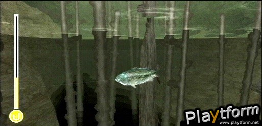 Reel Fishing: Life & Nature (DS)