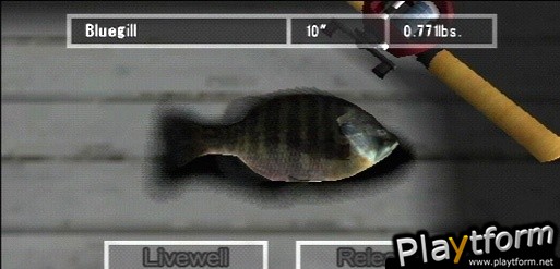 Reel Fishing: Life & Nature (DS)