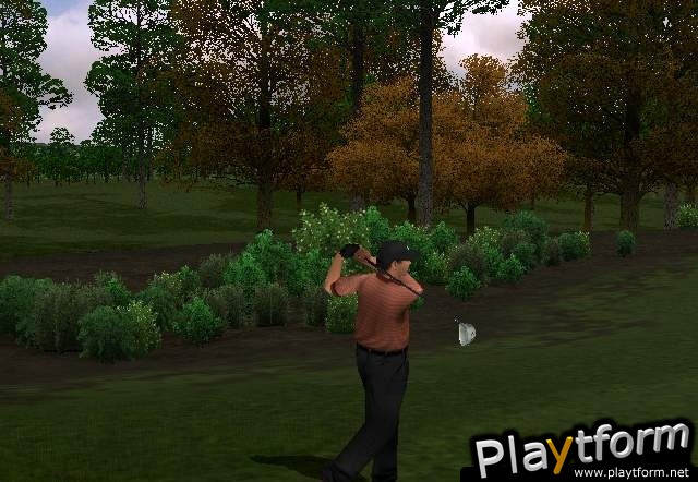 ProStroke Golf - World Tour 2007 (Xbox)