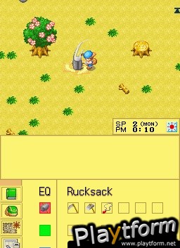 Harvest Moon DS (DS)