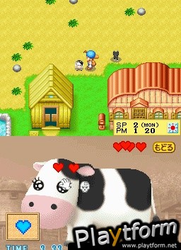 Harvest Moon DS (DS)