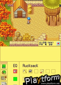 Harvest Moon DS (DS)