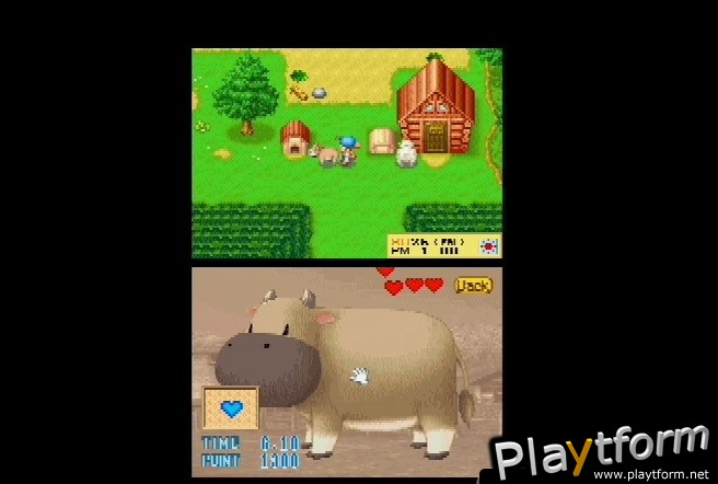 Harvest Moon DS (DS)