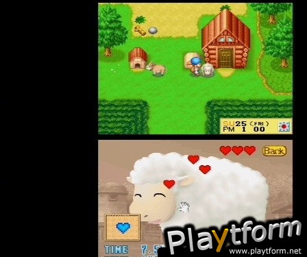 Harvest Moon DS (DS)