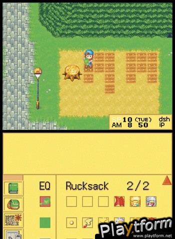 Harvest Moon DS (DS)