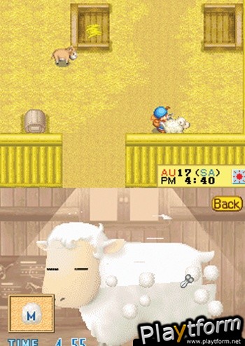 Harvest Moon DS (DS)