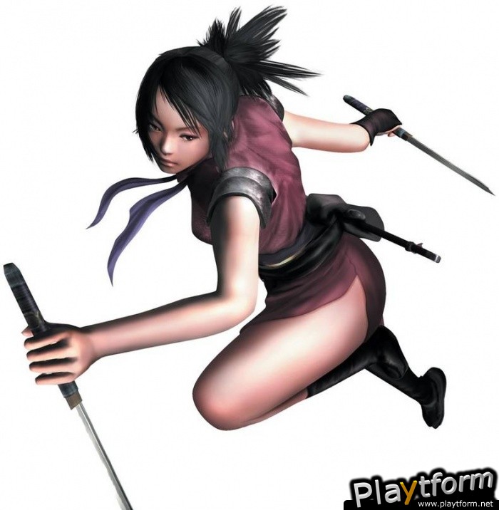 Tenchu: Dark Secret (DS)