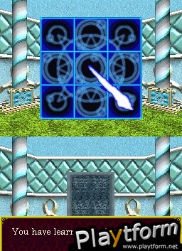 Deep Labyrinth (DS)