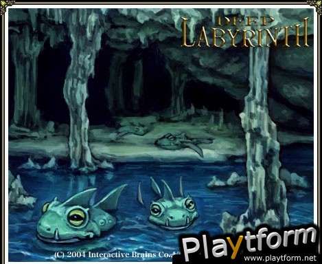 Deep Labyrinth (DS)