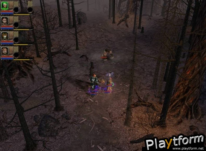 Dungeon Siege II: Broken World (PC)