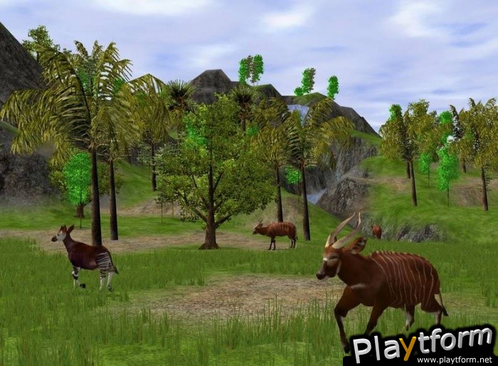 Wildlife Park 2 (PC)