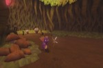 The Legend of Spyro: A New Beginning (Xbox)