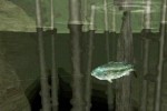 Reel Fishing: Life & Nature (DS)