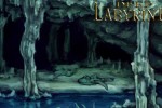 Deep Labyrinth (DS)