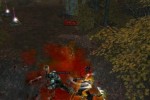 Dungeon Siege II: Broken World (PC)