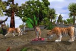 Wildlife Park 2 (PC)