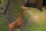 Wildlife Park 2 (PC)