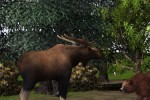 Wildlife Park 2 (PC)