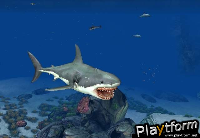 Jaws Unleashed (Xbox)